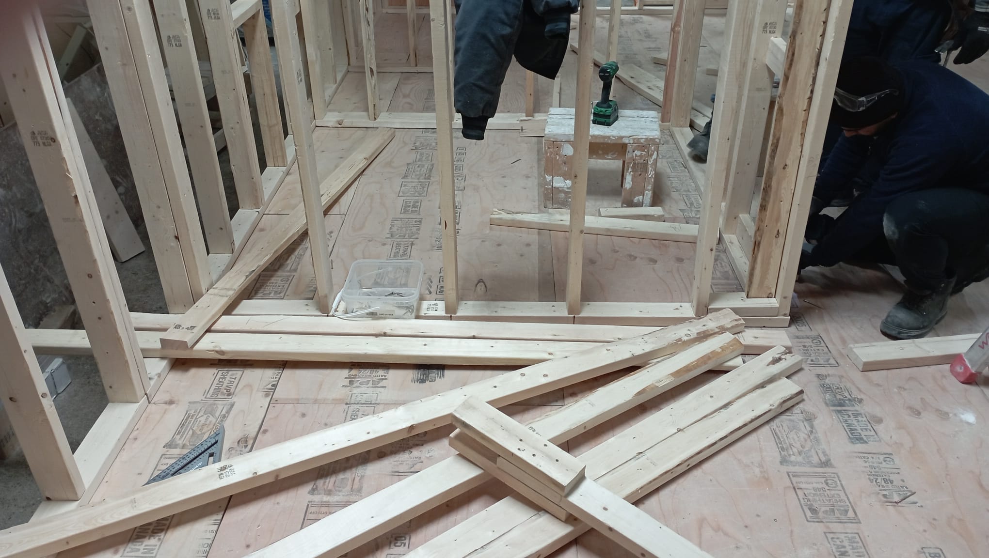 Wood wall framing built on a plywood subfloor during a basement build-out