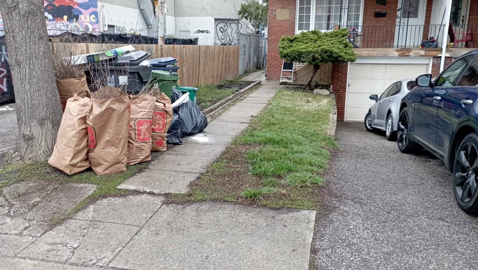 Front yard with paper yard-waste bags filled and ready for pickup before cleanup