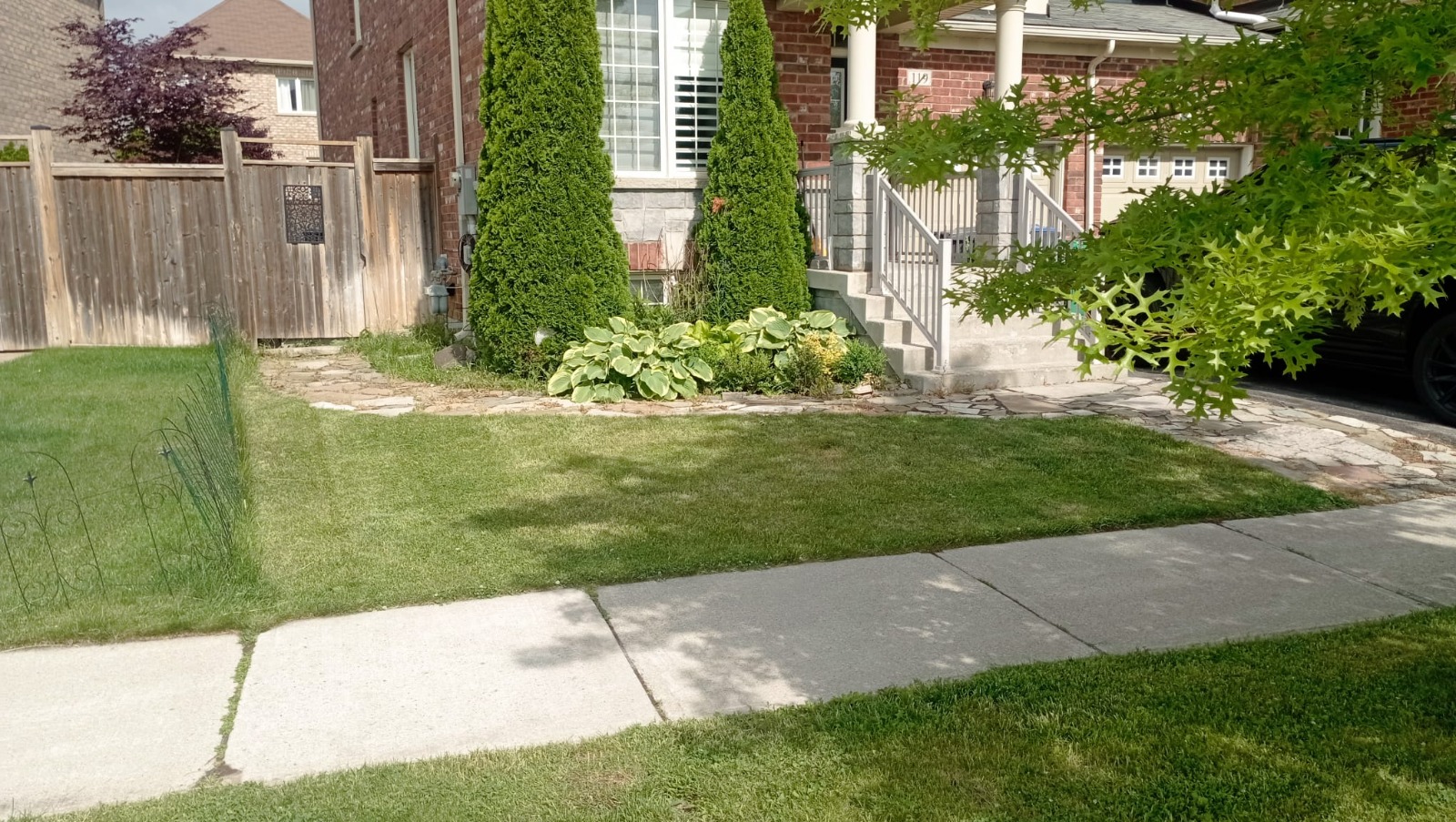 Front yard tidied with cedars, lawn cut, and beds cleaned up along the sidewalk